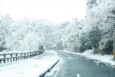 雪が積もっている道路